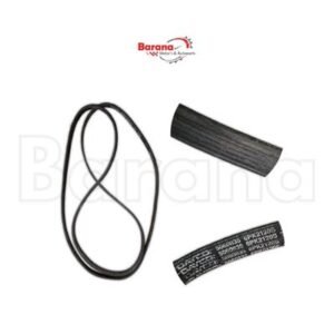 CORREA UNICA FORD FOCUS