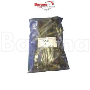 BOLSA TORNILLOS DE MOTOR CHEVROLET VORTEC 350 1996-2000