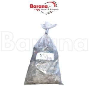 BOLSA TORNILLOS DE MOTOR KIA SPECTRA 2007-2008