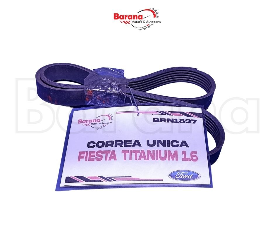 CORREA UNICA FORD FIESTA TITANIUM 1.6