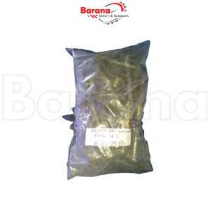 BOLSA TORNILLOS DE MOTOR FORD FORTALEZA 1997-2008